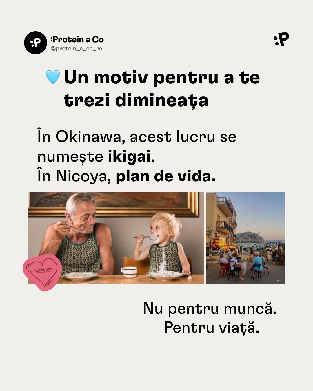 Modre-zony-RO-1-clanek-proteinaco